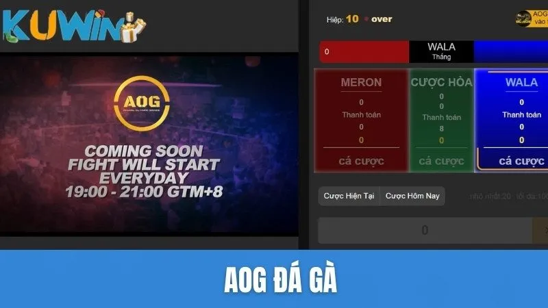 AOG Đá Gà – Chốn dừng chân của anh em đam mê chọi gà trực tuyến