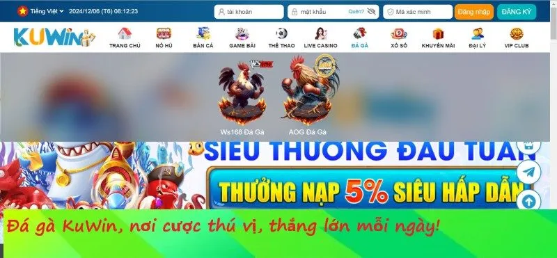 Tìm hiểu kỹ về chiến kê trong mỗi trận đấu