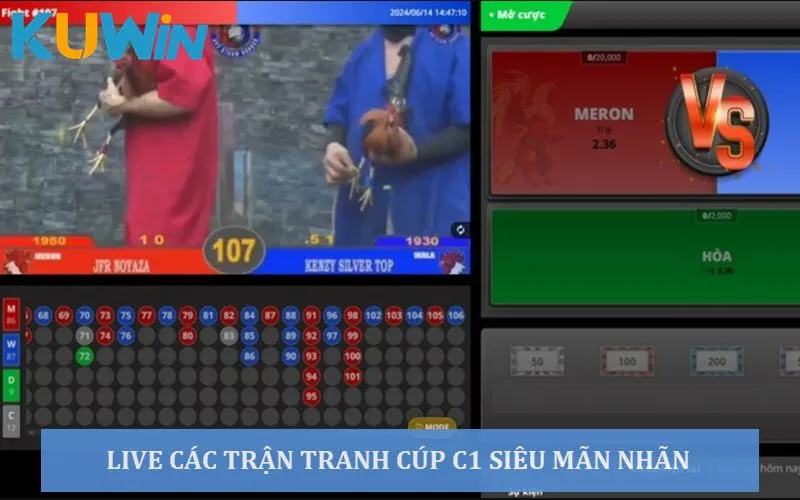 Live trực tiếp các trận chọi gà tranh cúp C1 với giải thưởng khổng lồ