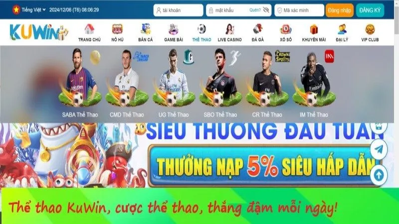 Top 5 Nhà Cái Cá Độ Bóng Uy Tín – Dành Cho Anh Em Đam Mê Cá Cược