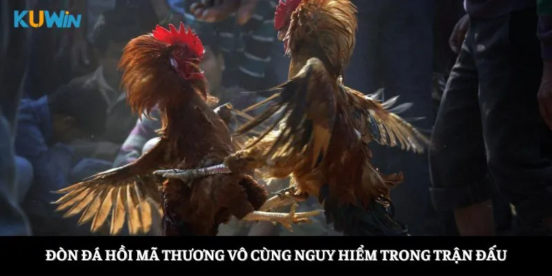 Đòn đá hồi mã thương vô cùng nguy hiểm trong trận đấu